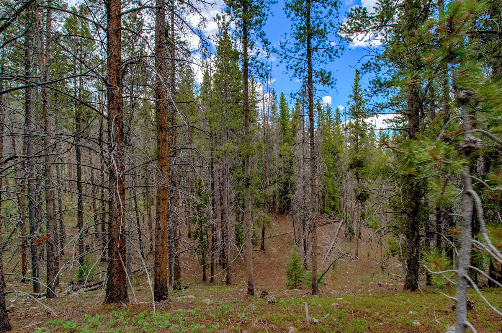 525 Gold King Way Breckenridge CO 80424