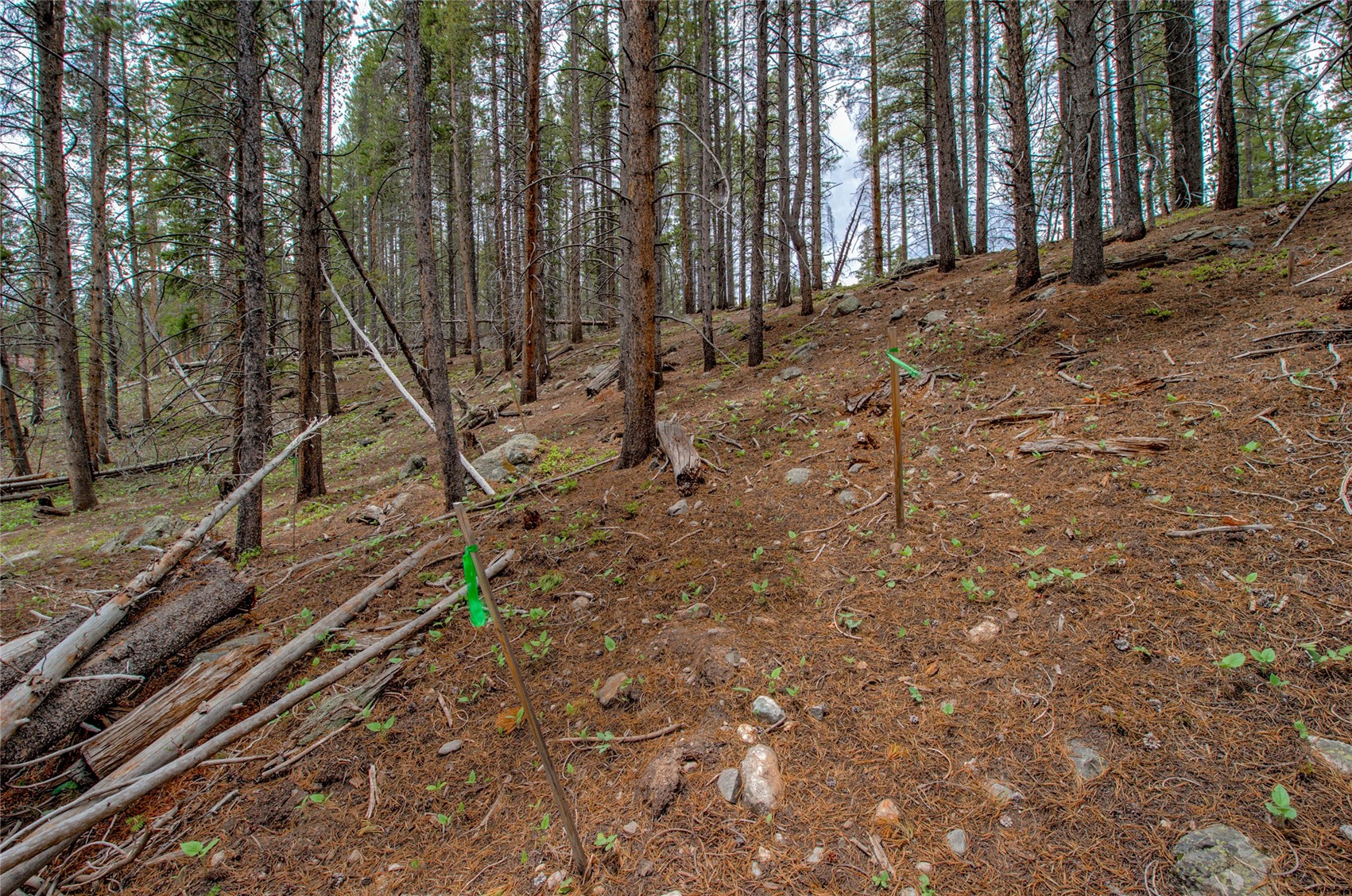 525 Gold King Way Breckenridge CO 80424