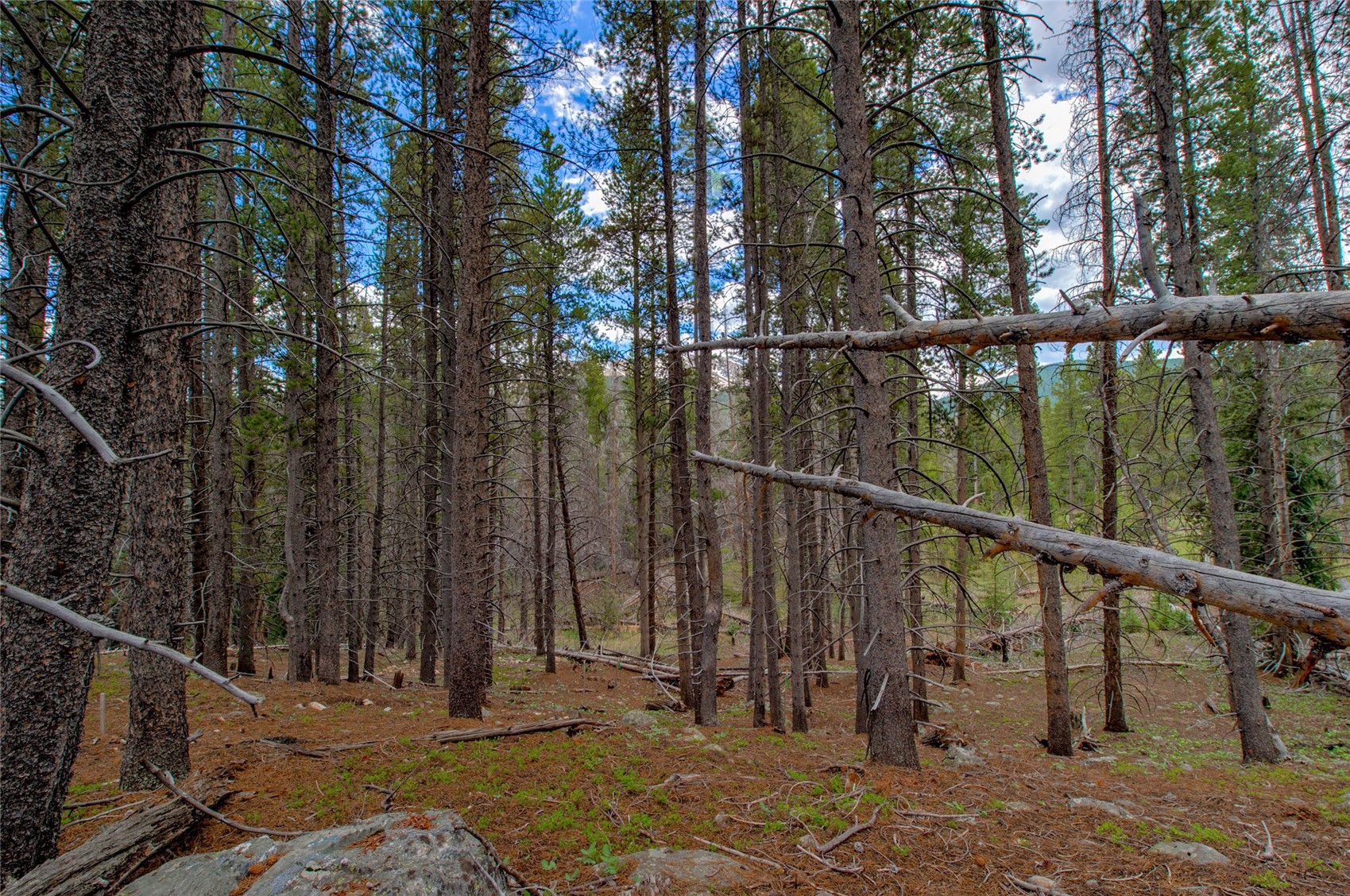 525 Gold King Way Breckenridge CO 80424