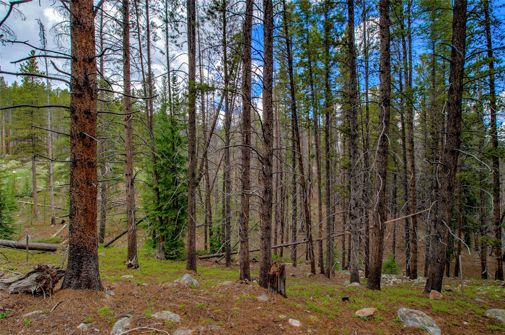525 Gold King Way Breckenridge CO 80424
