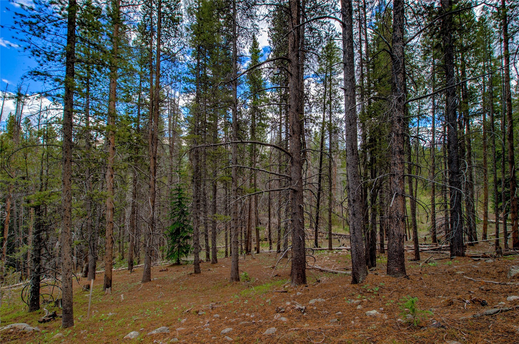 525 Gold King Way Breckenridge CO 80424