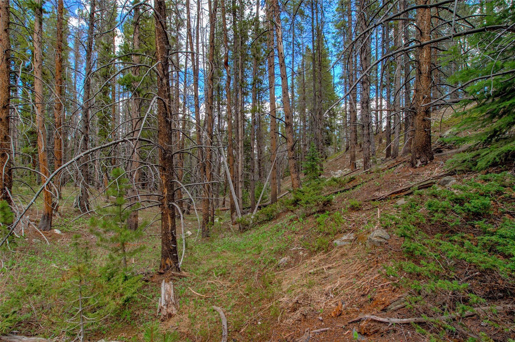 525 Gold King Way Breckenridge CO 80424