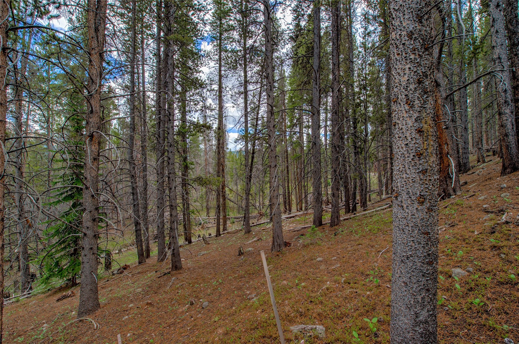 525 Gold King Way Breckenridge CO 80424