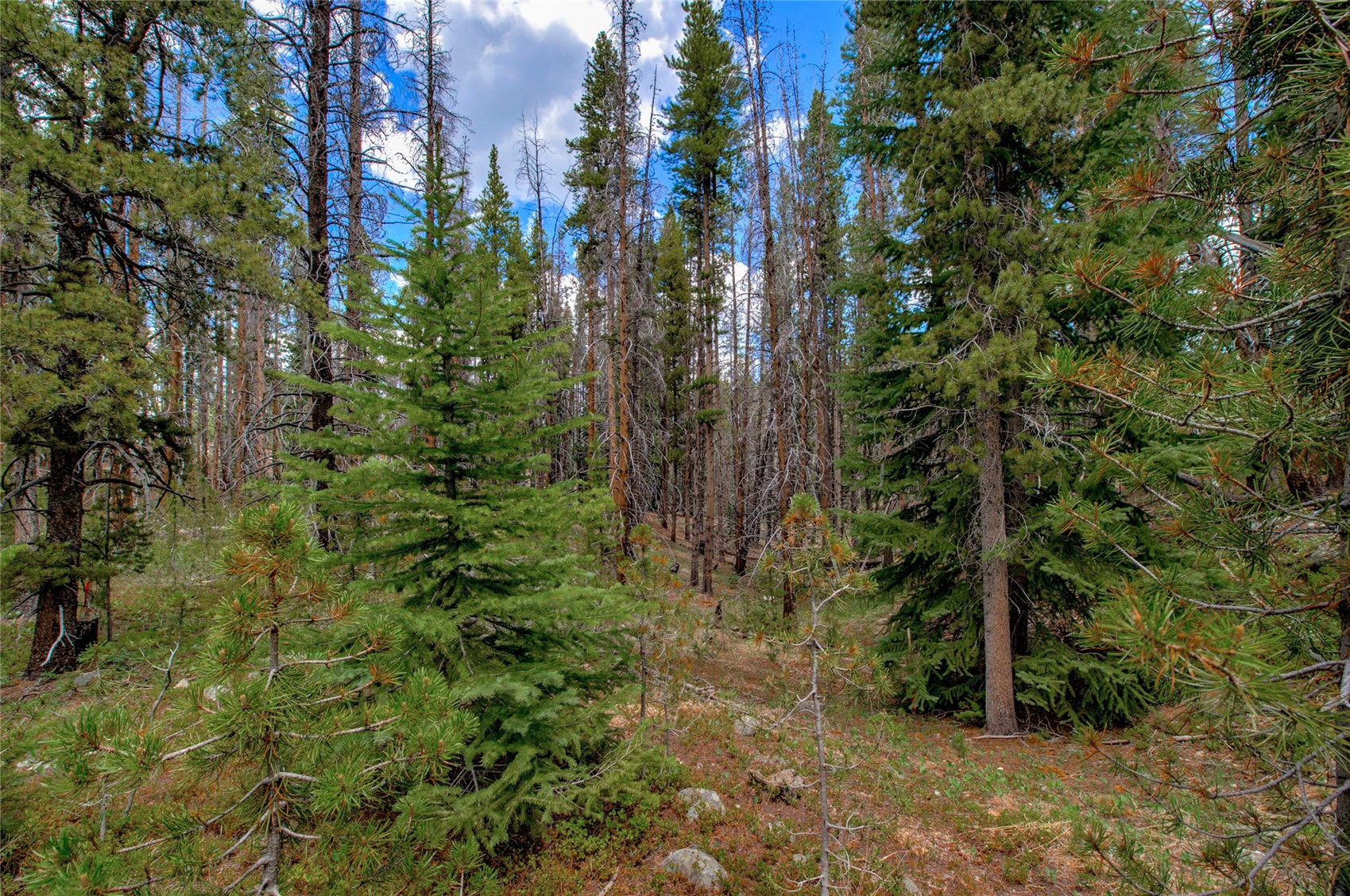 525 Gold King Way Breckenridge CO 80424