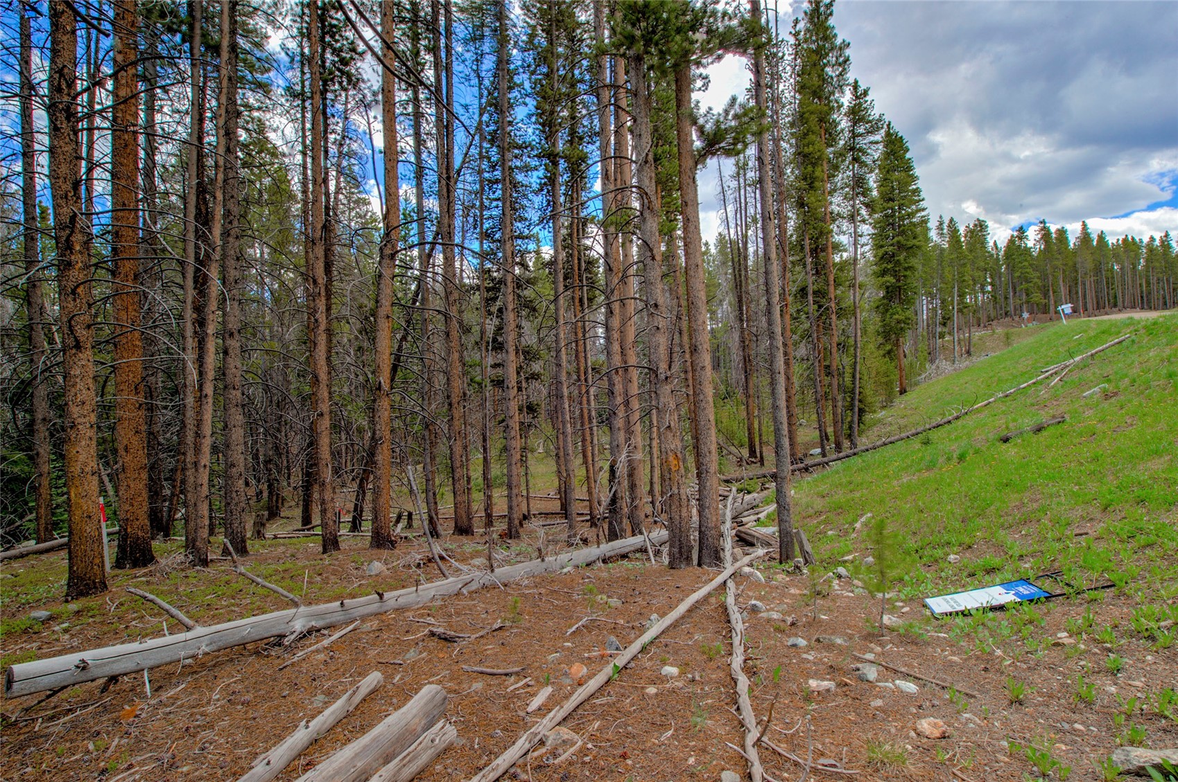 525 Gold King Way Breckenridge CO 80424
