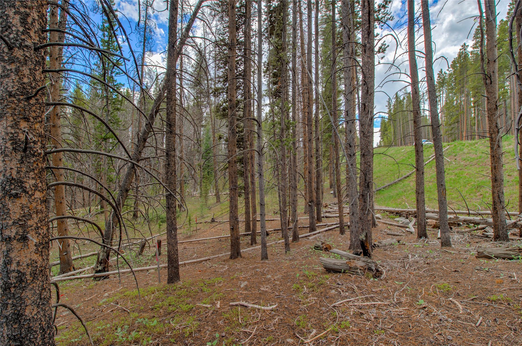 525 Gold King Way Breckenridge CO 80424