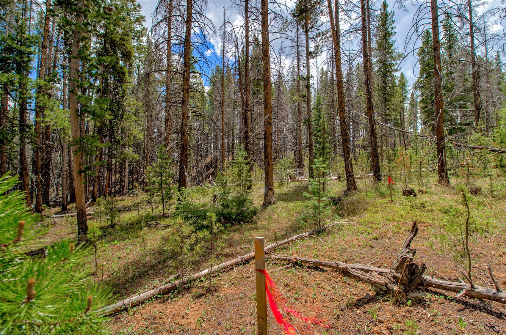 525 Gold King Way Breckenridge CO 80424