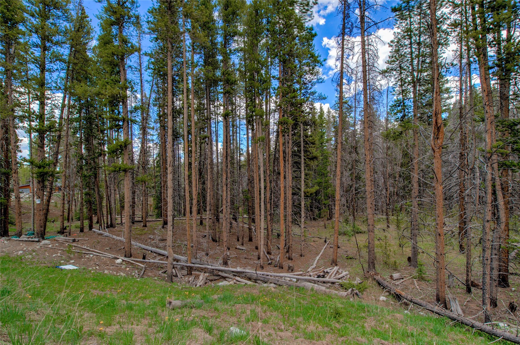 525 Gold King Way Breckenridge CO 80424