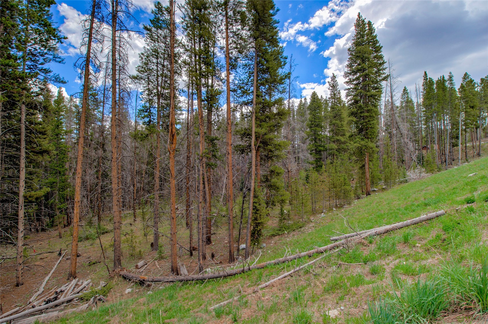 525 Gold King Way Breckenridge CO 80424