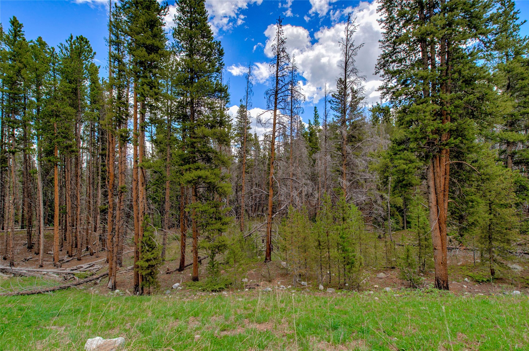 525 Gold King Way Breckenridge CO 80424