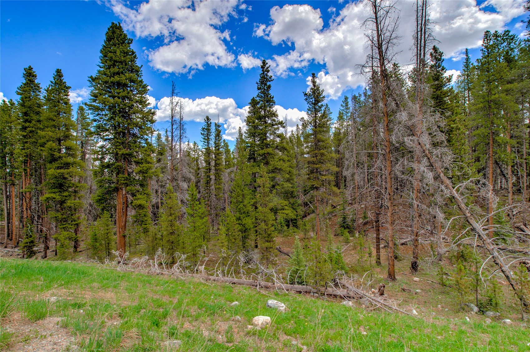 525 Gold King Way Breckenridge CO 80424