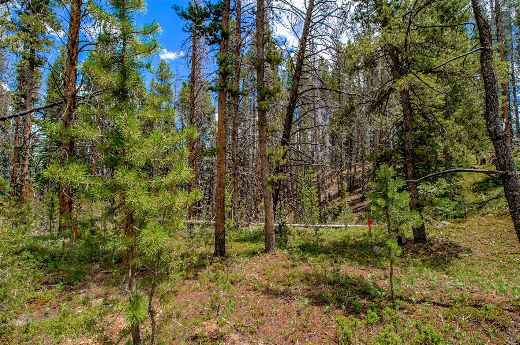 525 Gold King Way Breckenridge CO 80424