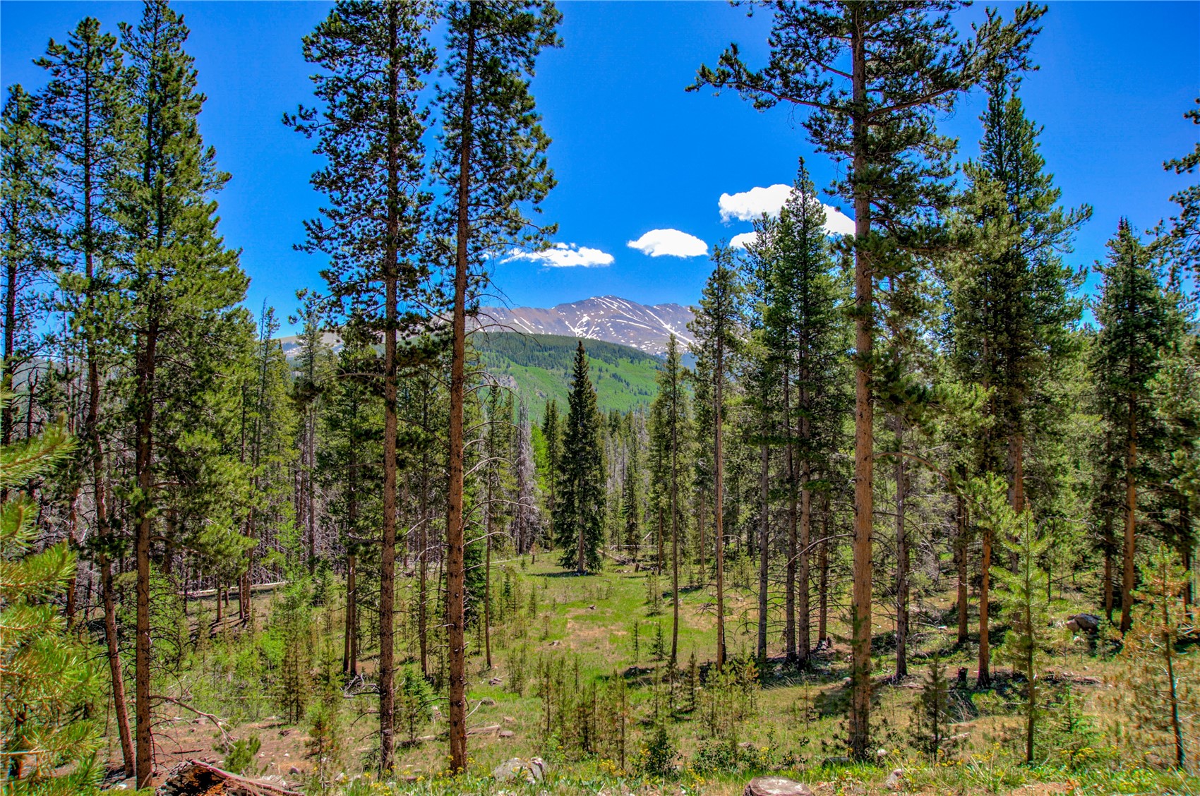 525 Gold King Way Breckenridge CO 80424