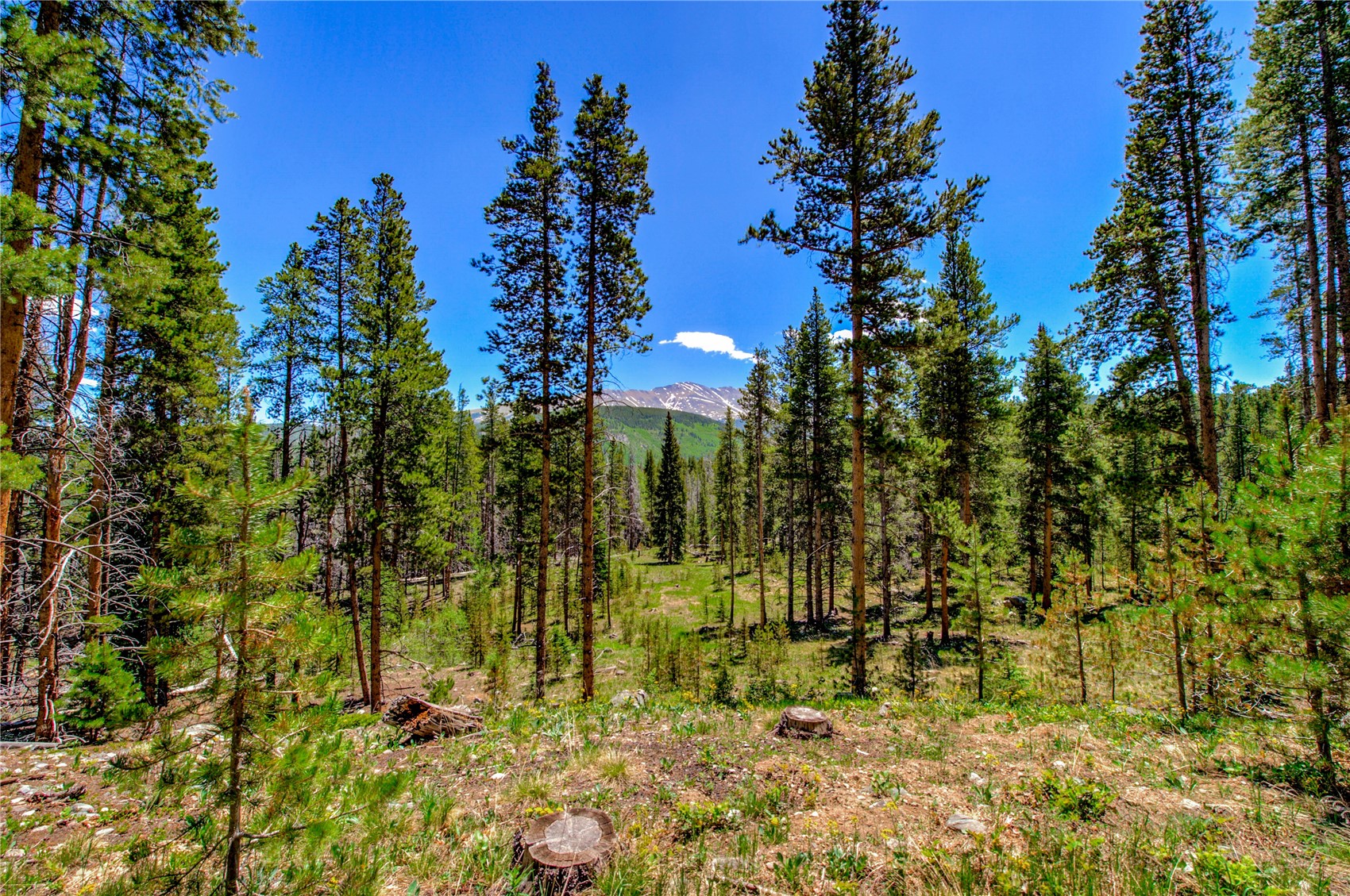 525 Gold King Way Breckenridge CO 80424