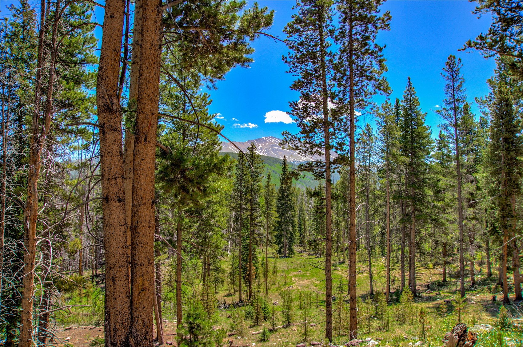 525 Gold King Way Breckenridge CO 80424