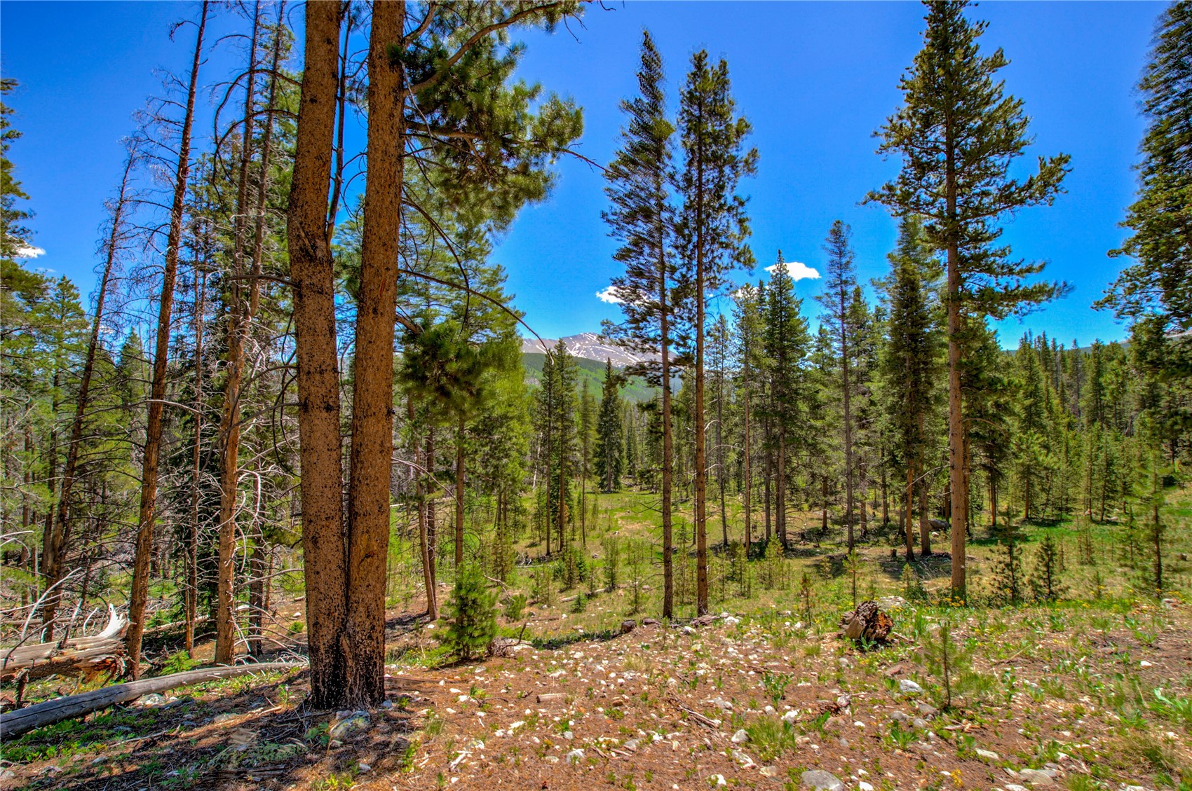 525 Gold King Way Breckenridge CO 80424