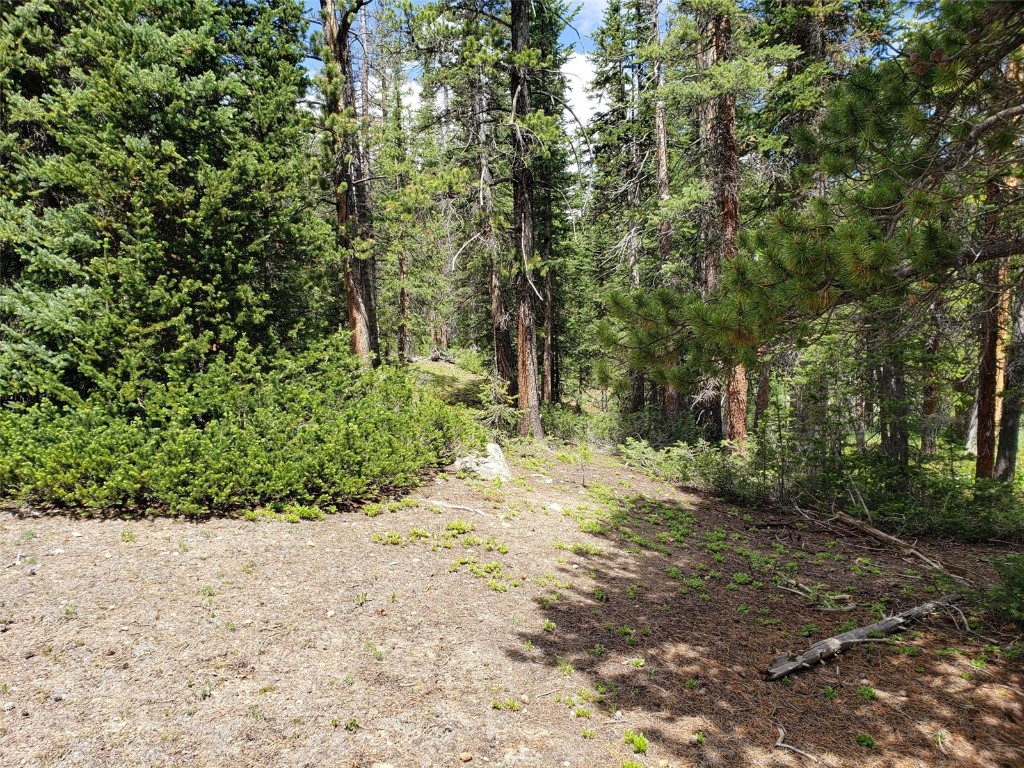 585 Porcupine Road Fairplay CO 80440