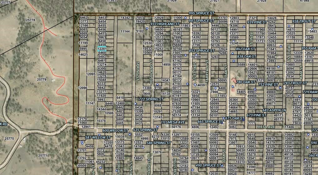 00 Willow Street Hartsel CO 80449