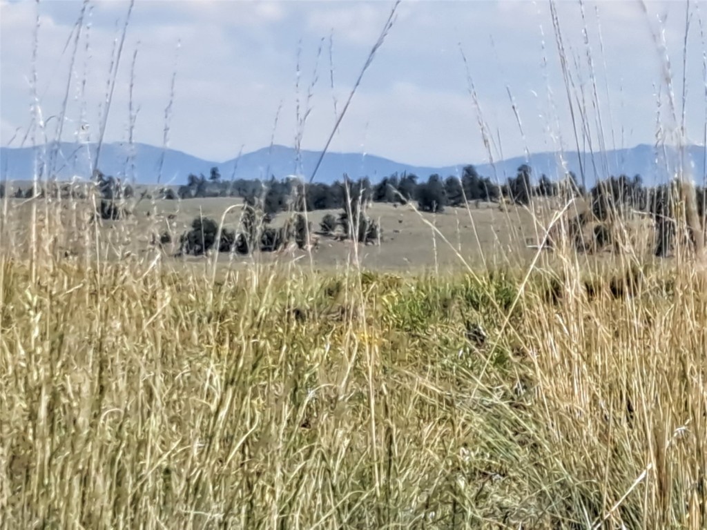 780 Ute Trace Hartsel CO 80449