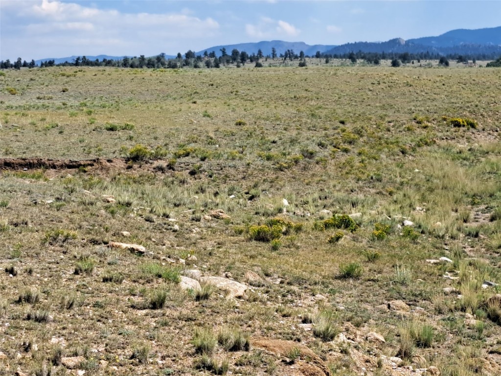 780 Ute Trace Hartsel CO 80449