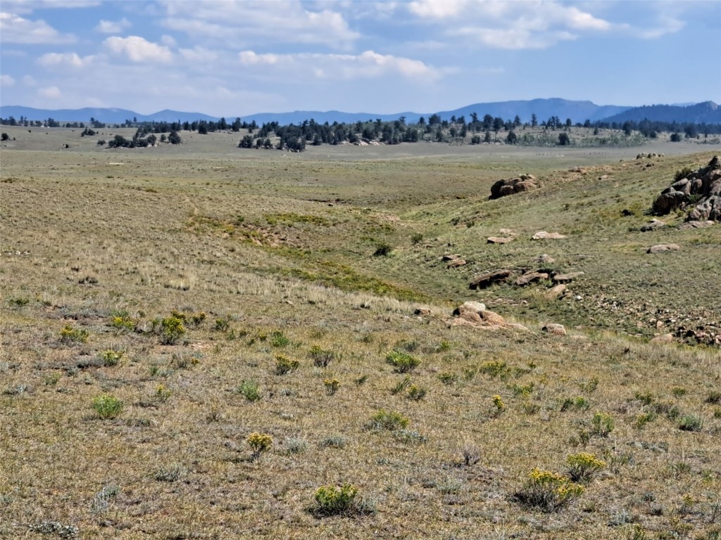 780 Ute Trace Hartsel CO 80449