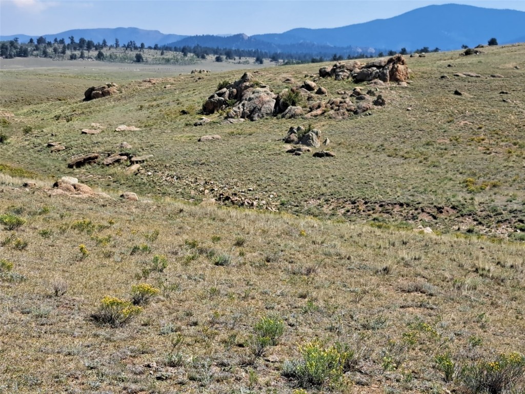 780 Ute Trace Hartsel CO 80449