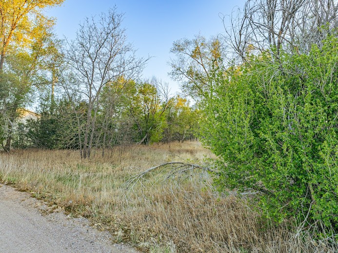 19861 Barnes Circle Other CO 80751