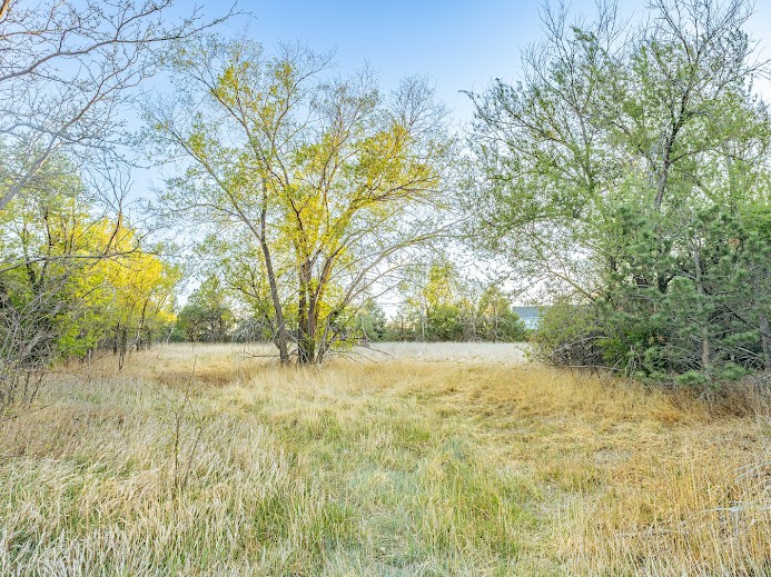 19861 Barnes Circle Other CO 80751