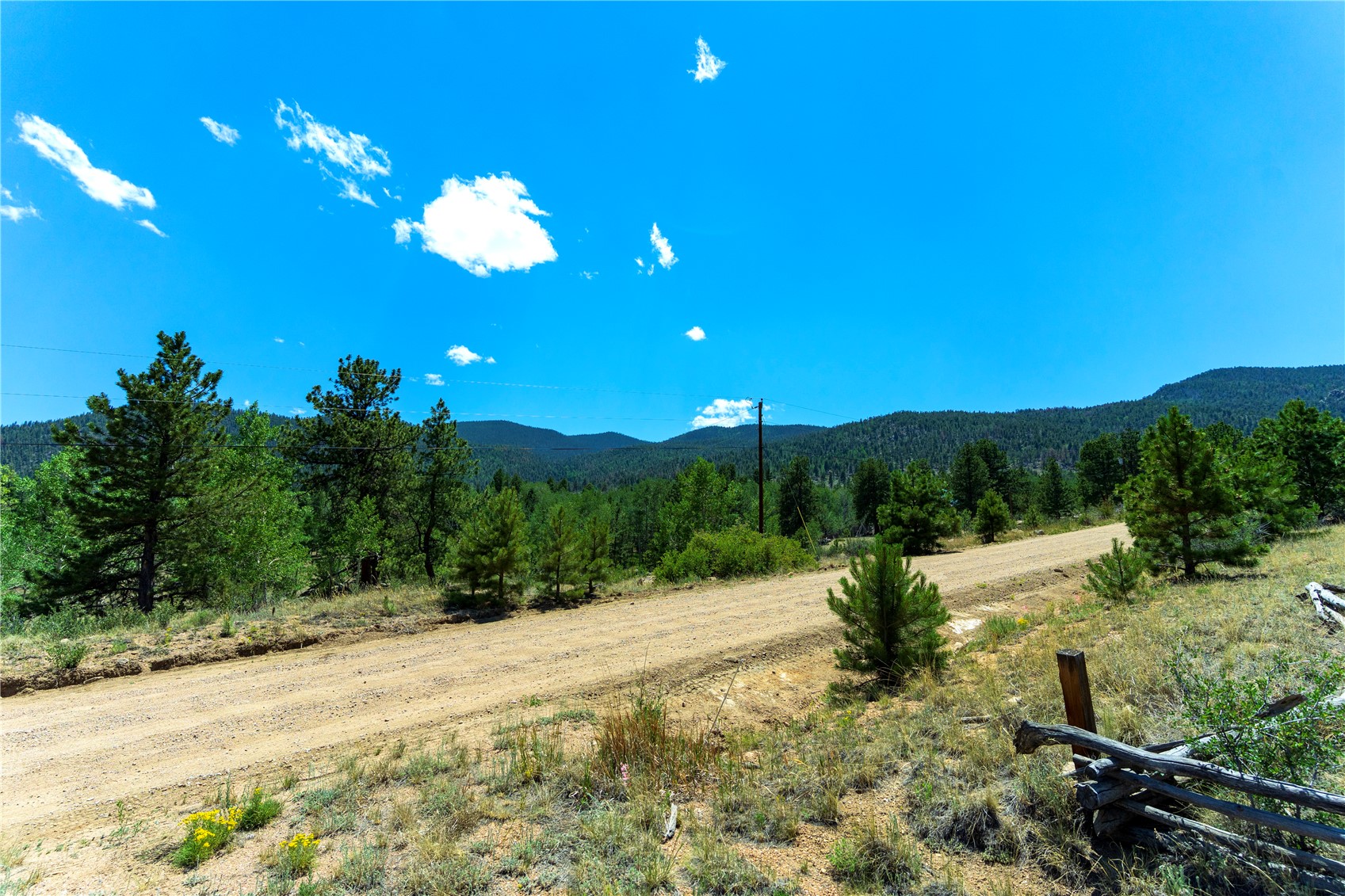 1036 Pulver Road Lake George CO 80827