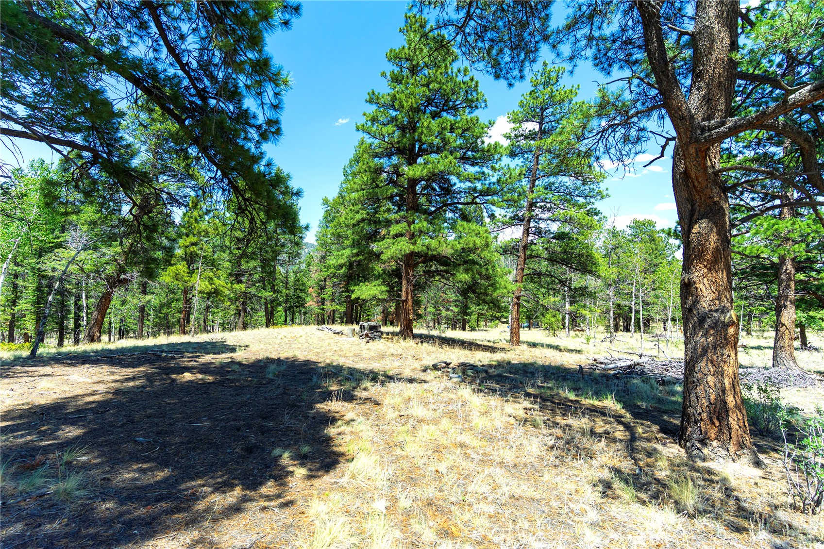 1036 Pulver Road Lake George CO 80827