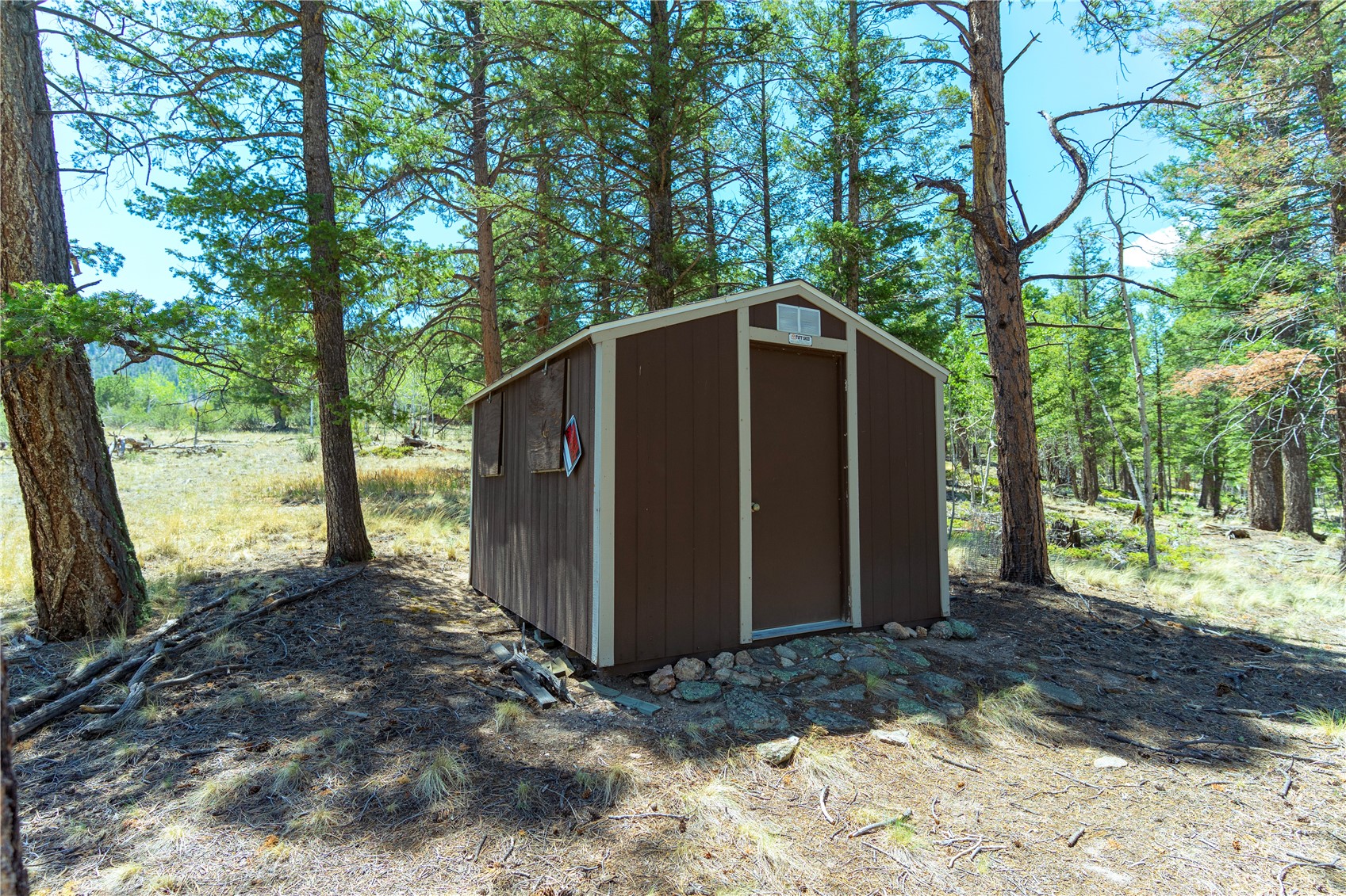 1036 Pulver Road Lake George CO 80827