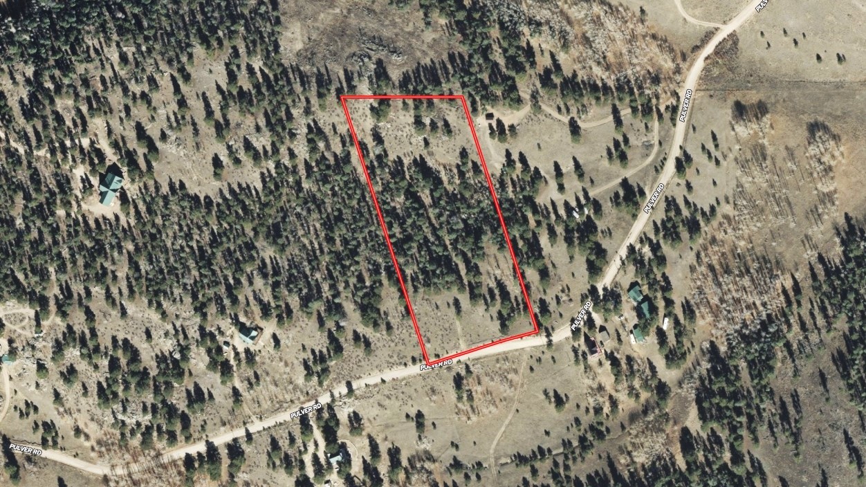 1036 Pulver Road Lake George CO 80827