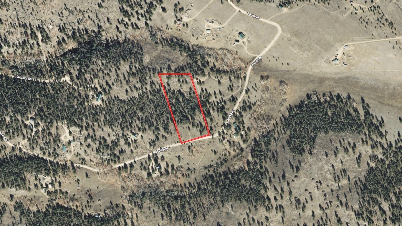 1036 Pulver Road Lake George CO 80827