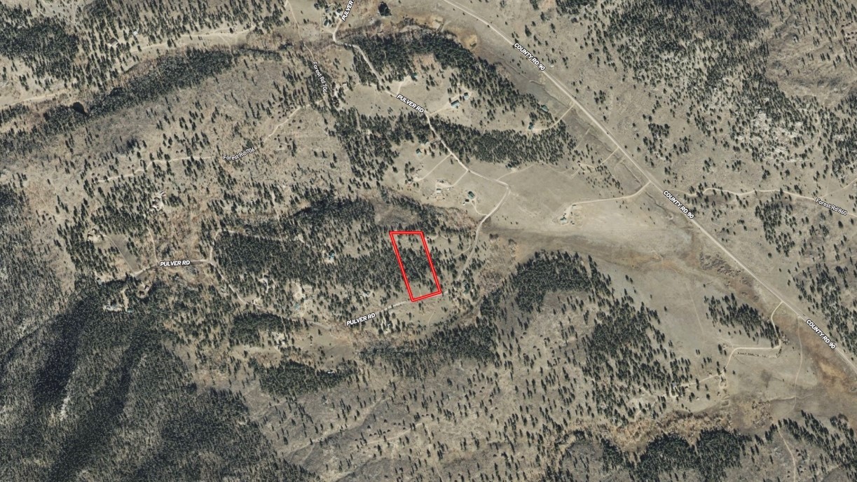 1036 Pulver Road Lake George CO 80827