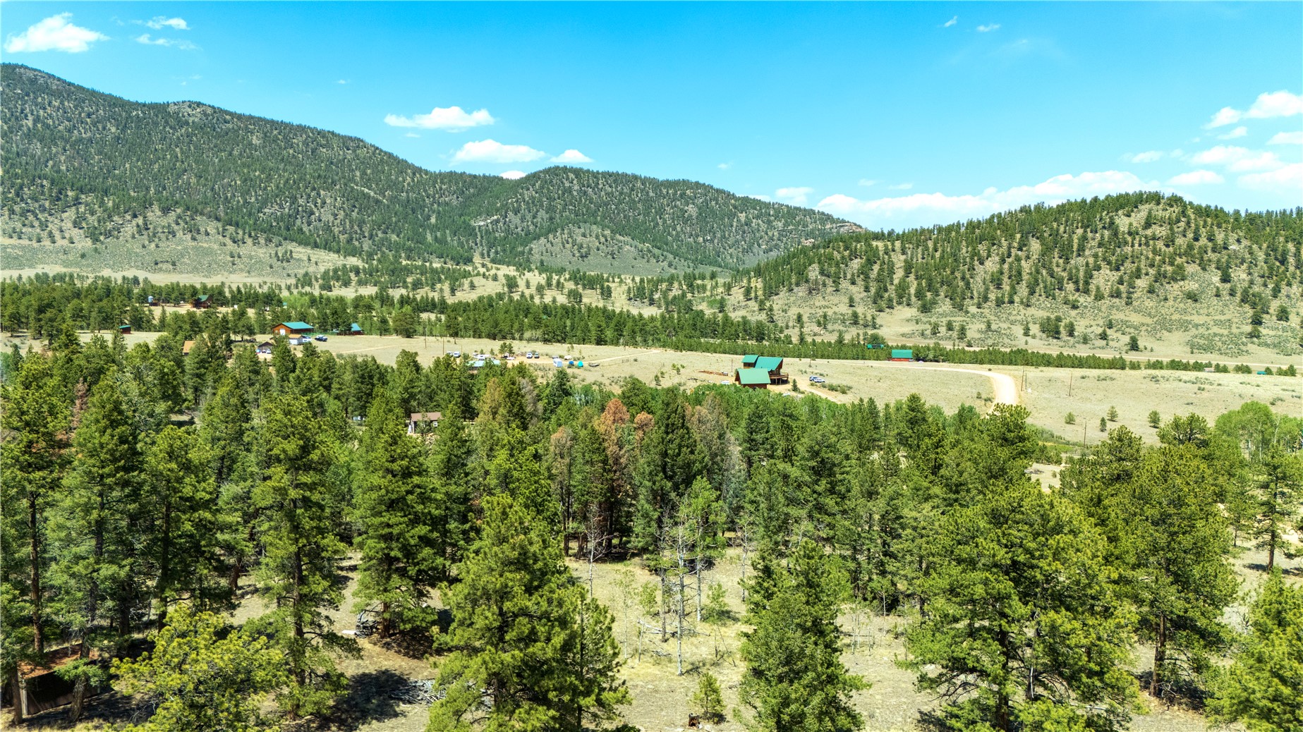 1036 Pulver Road Lake George CO 80827