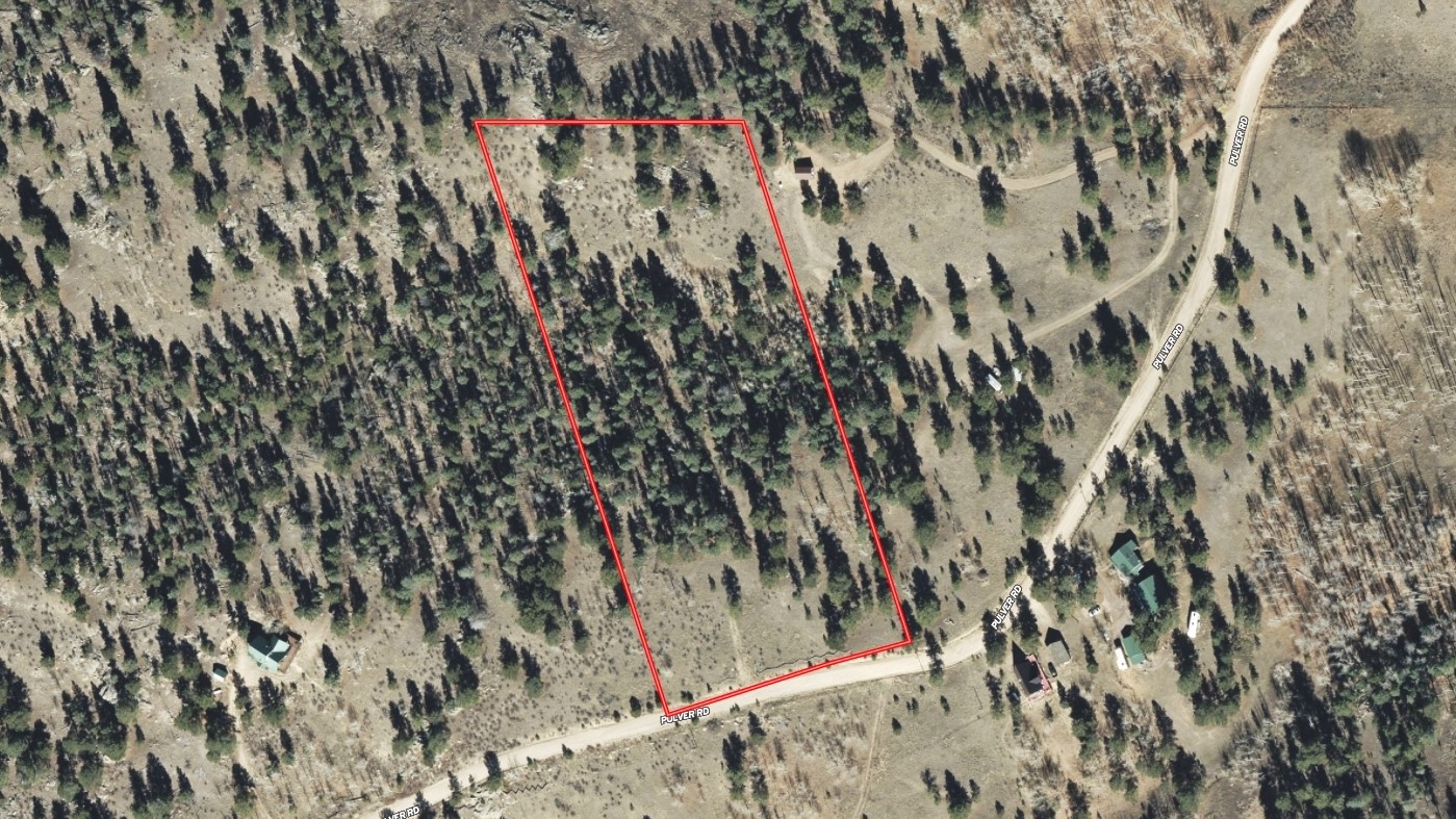 1036 Pulver Road Lake George CO 80827