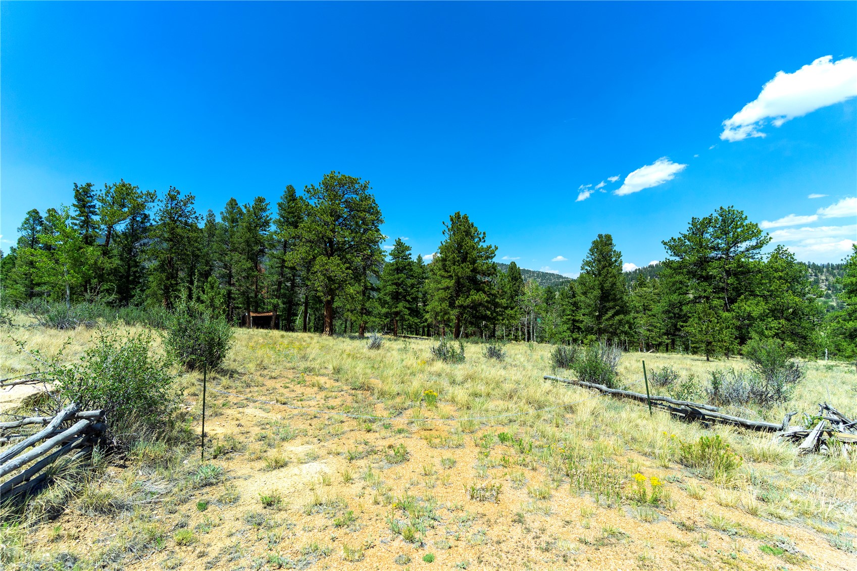 1036 Pulver Road Lake George CO 80827