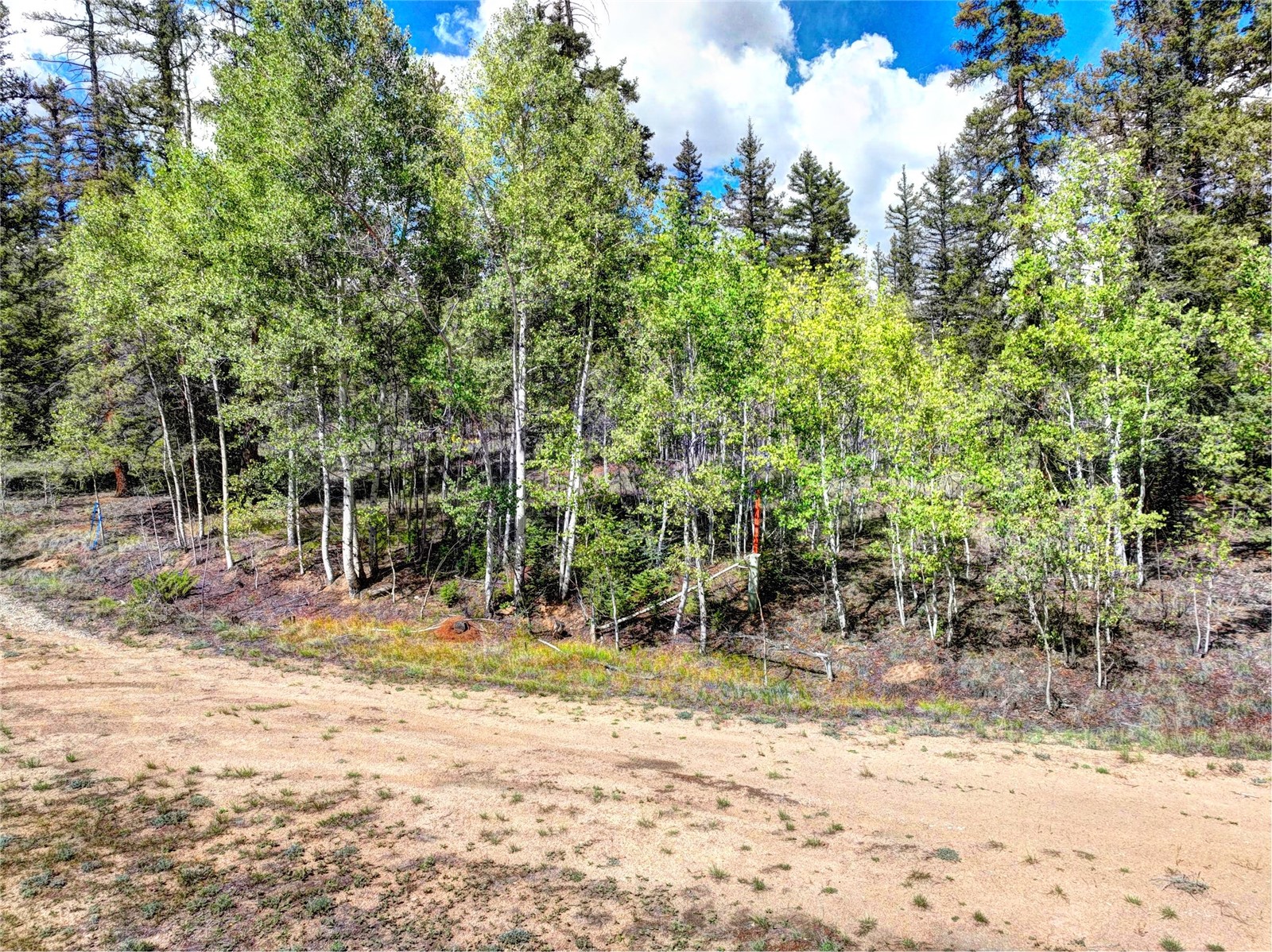 75 Swiggler Road Jefferson CO 80456