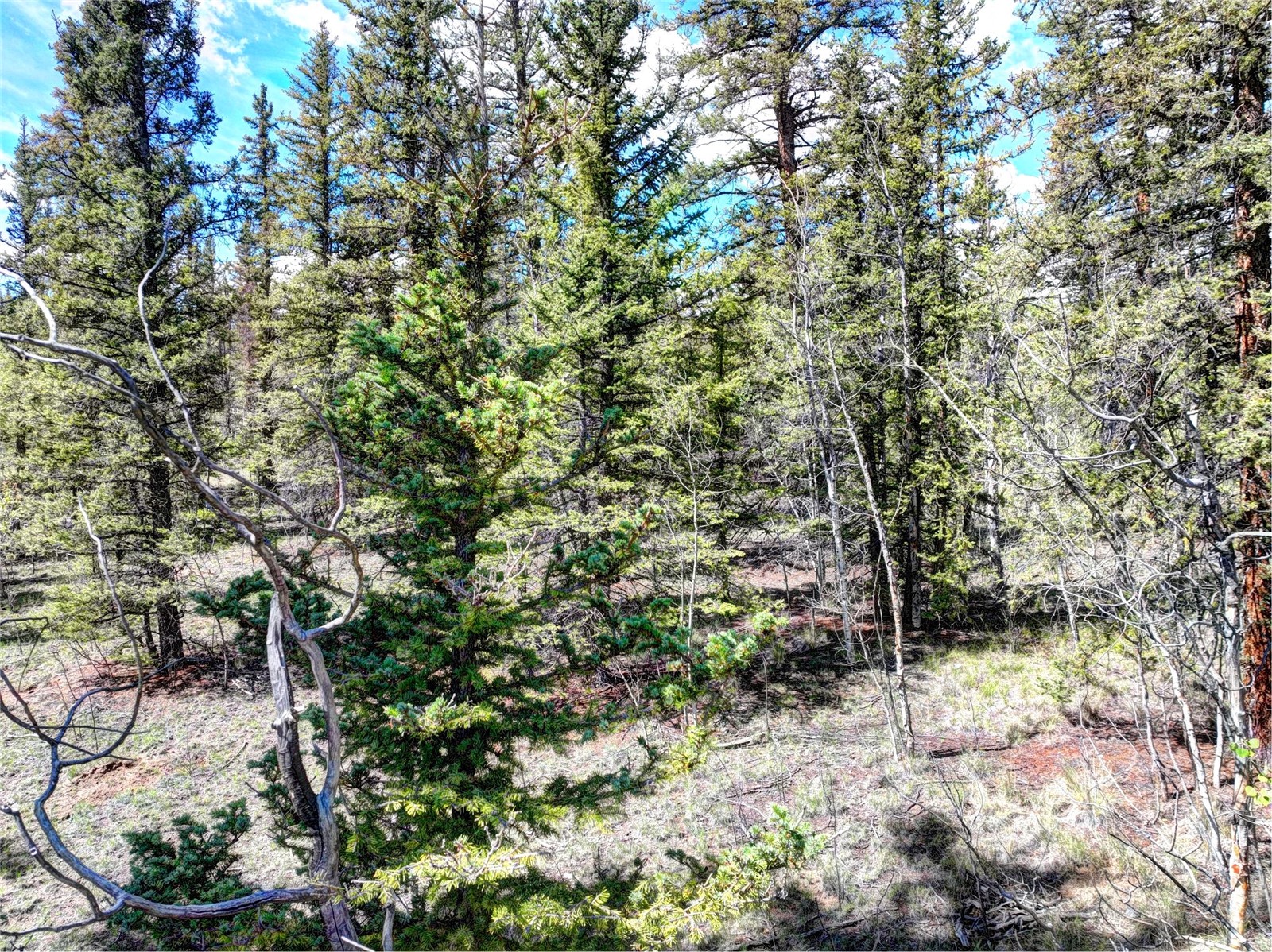 75 Swiggler Road Jefferson CO 80456
