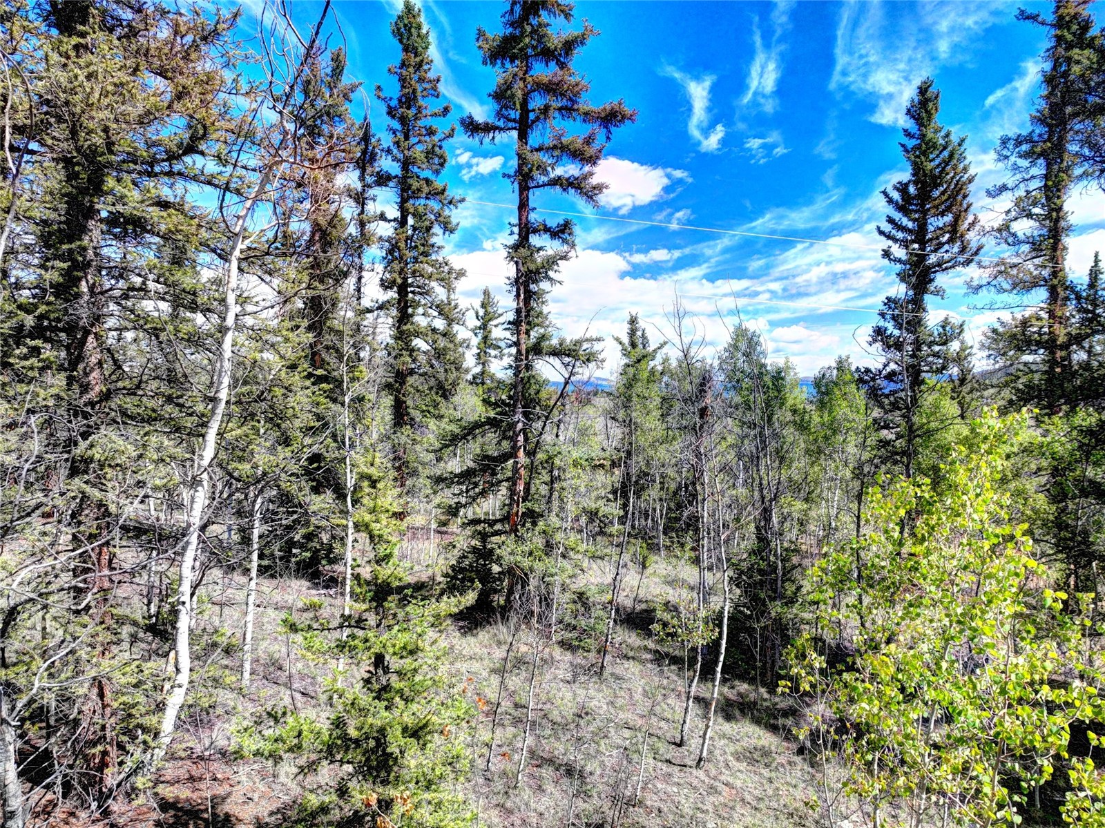 75 Swiggler Road Jefferson CO 80456