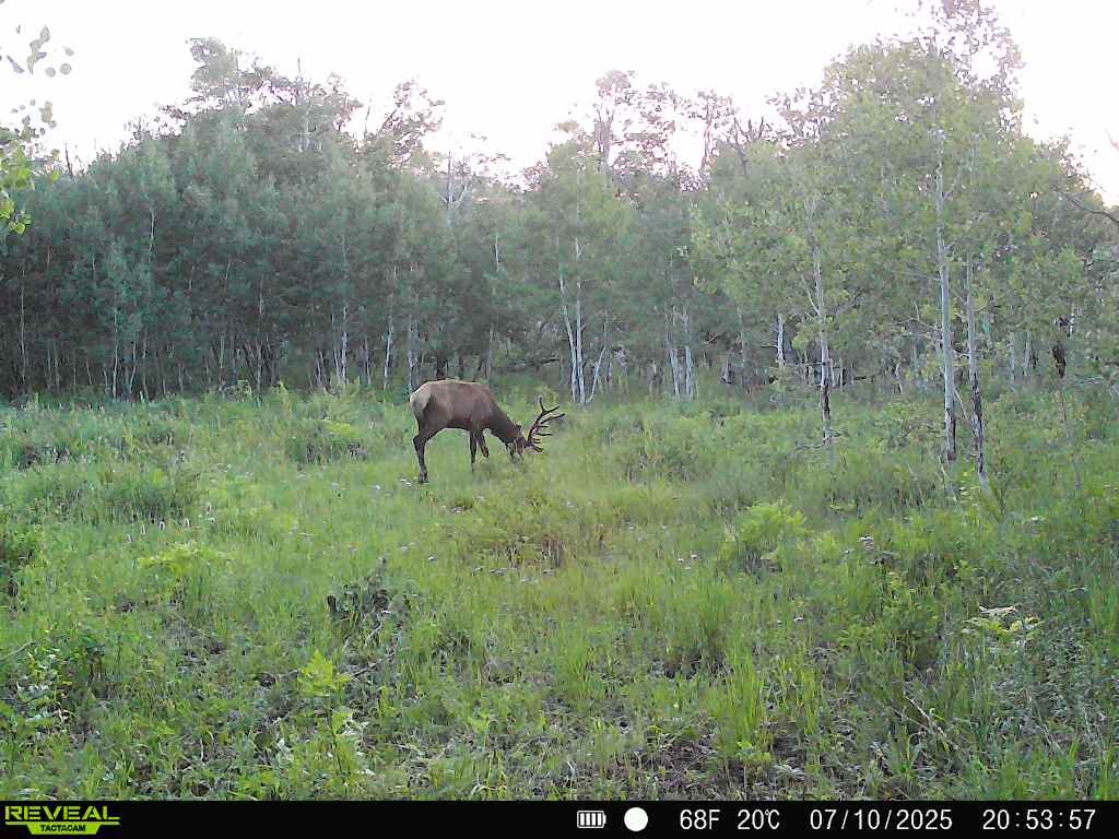 Tbd County Road 11 Craig CO 81625