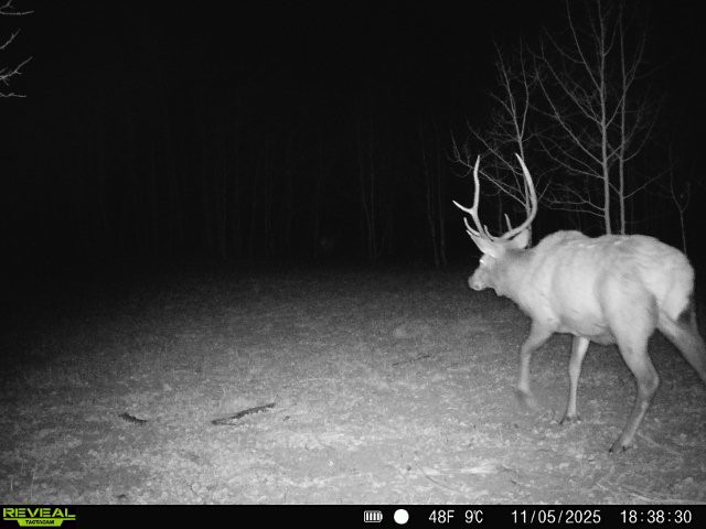 Tbd County Road 11 Craig CO 81625