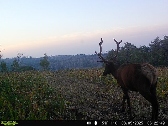 Tbd County Road 11 Craig CO 81625