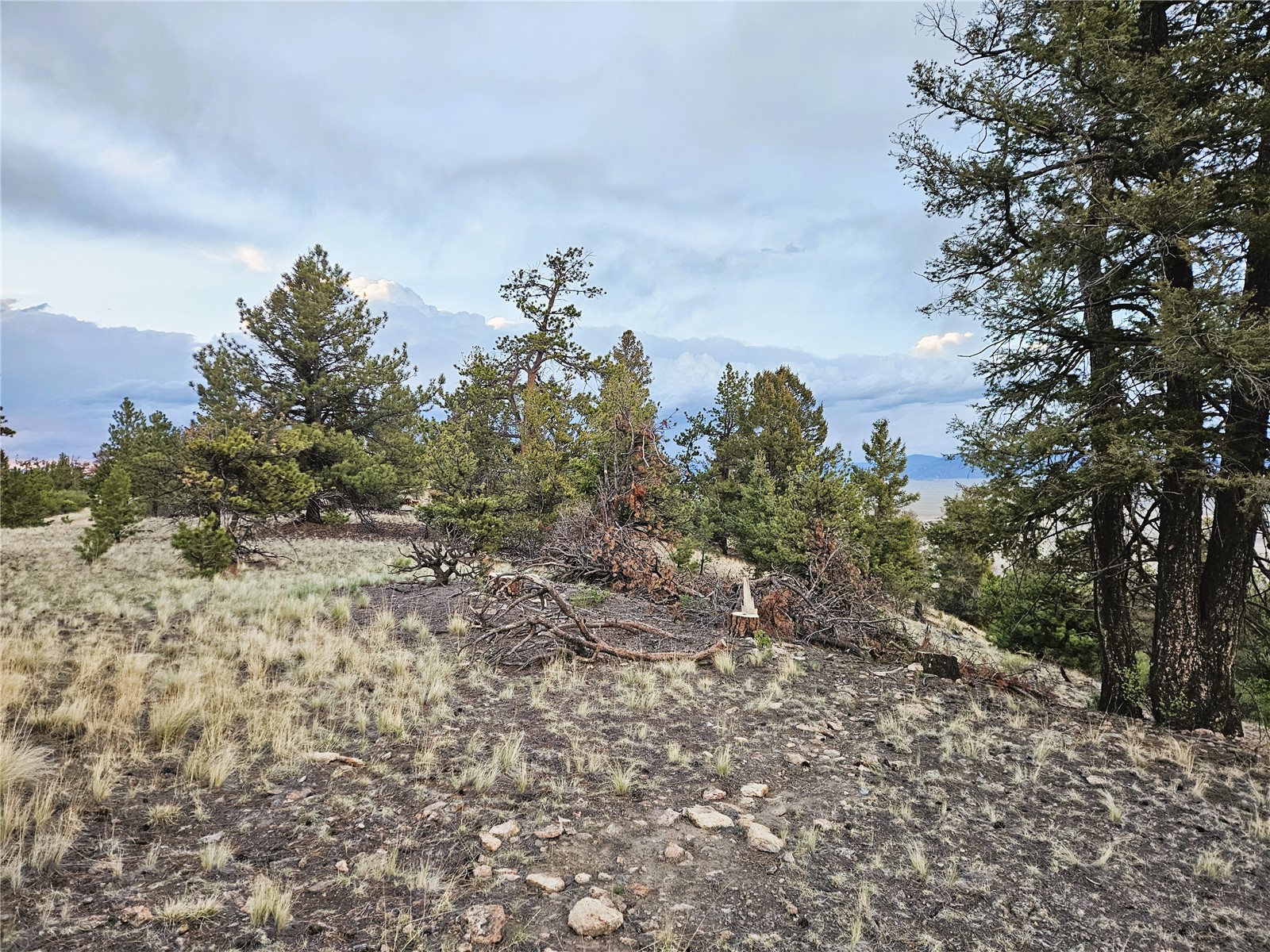 PCS#24807 Satanta Trail Hartsel CO 80449