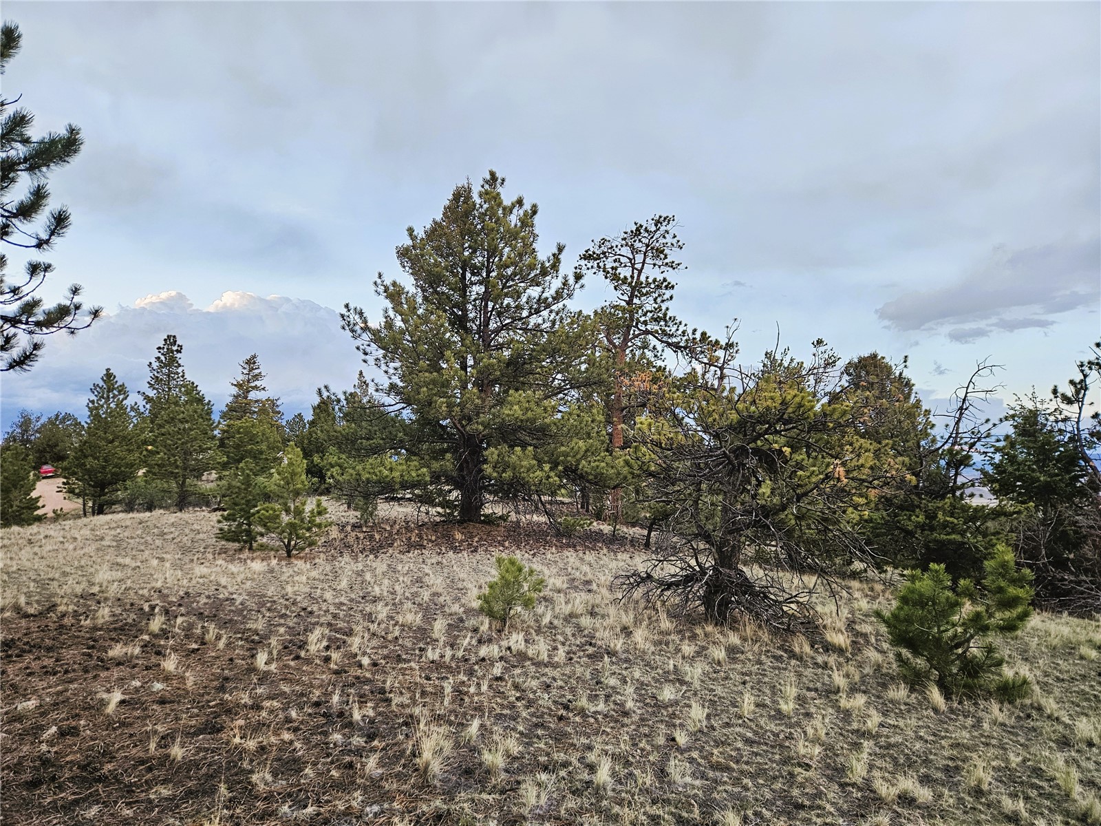 PCS#24807 Satanta Trail Hartsel CO 80449