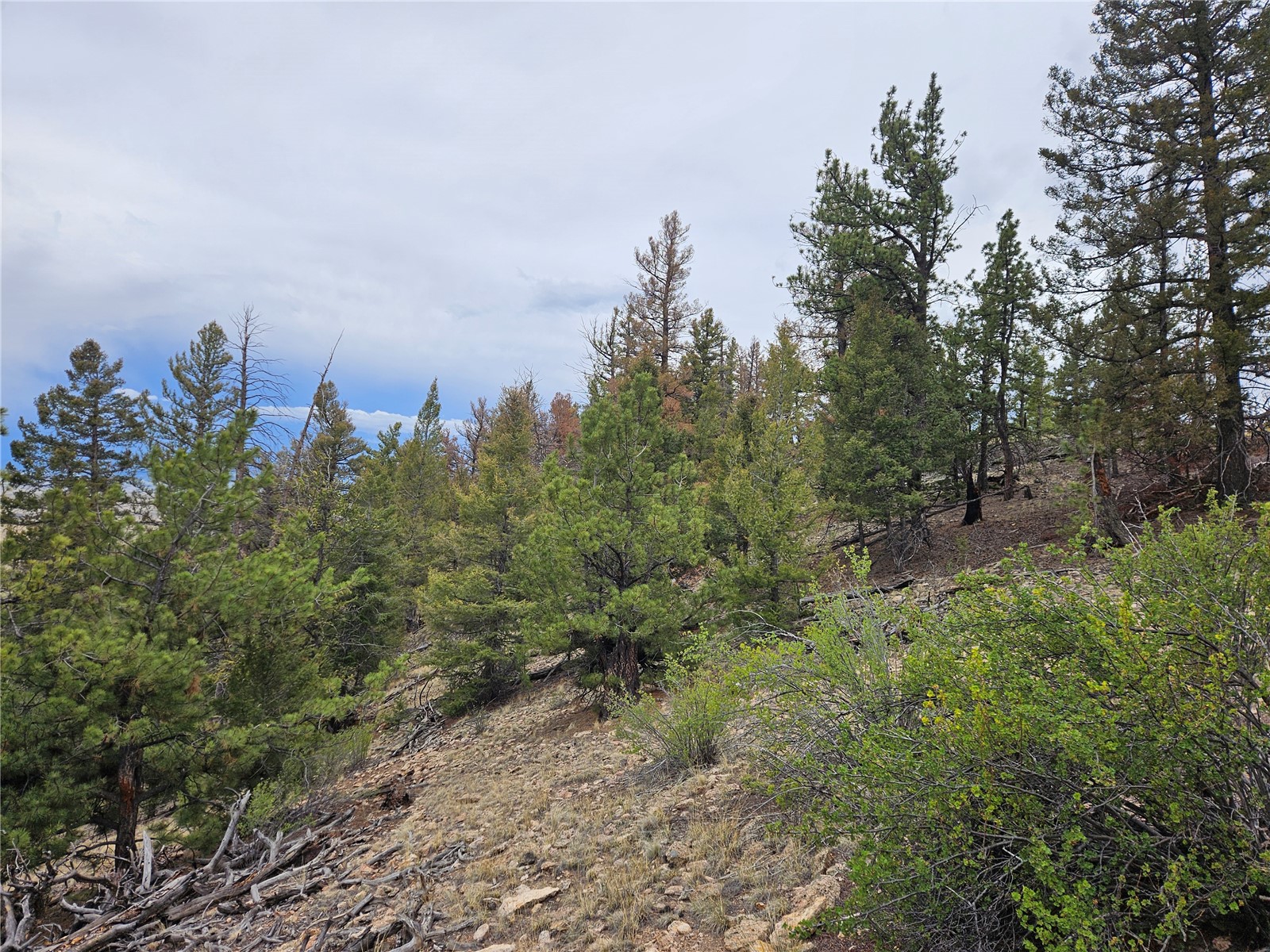 PCS#24807 Satanta Trail Hartsel CO 80449