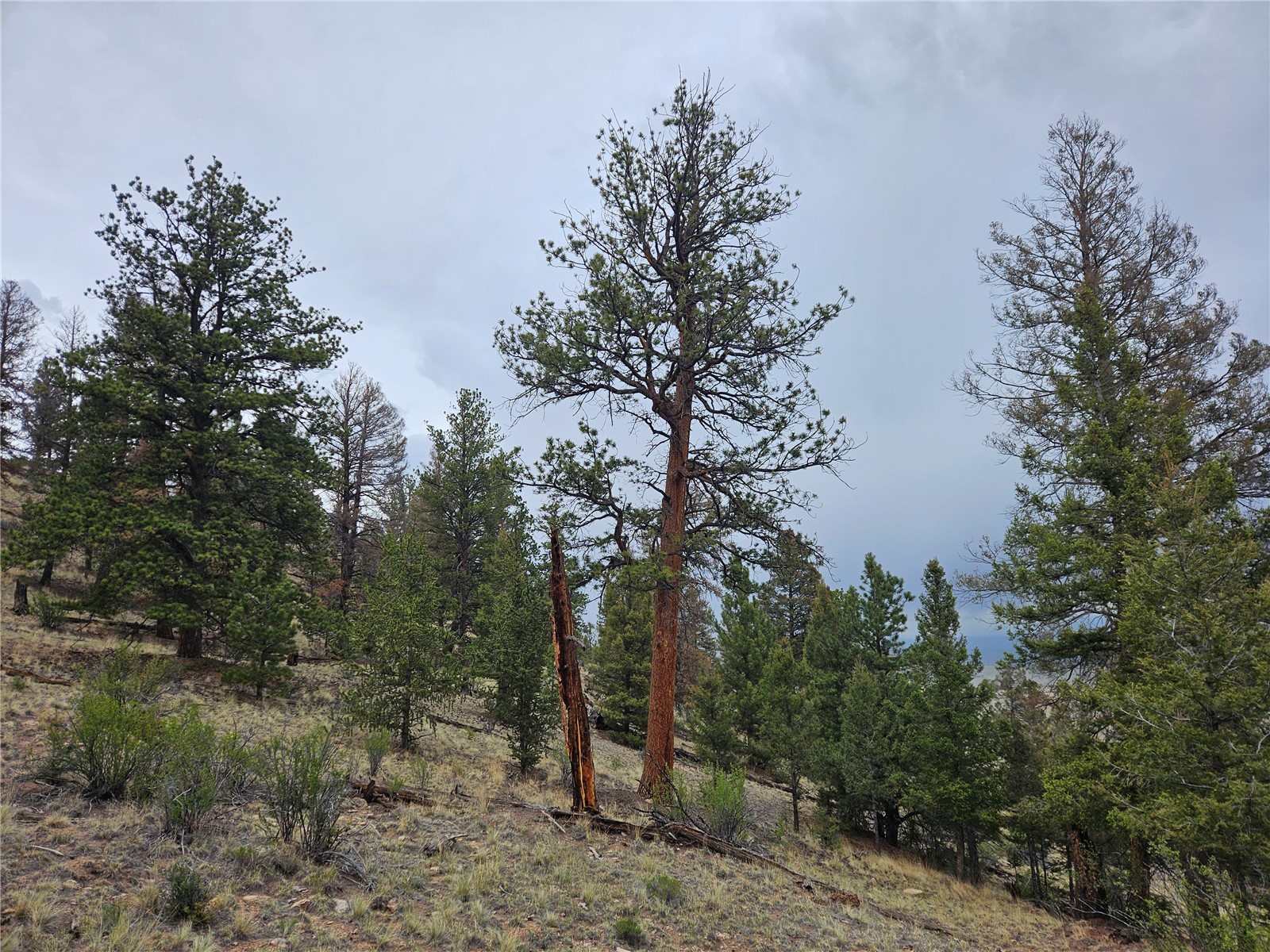 PCS#24807 Satanta Trail Hartsel CO 80449