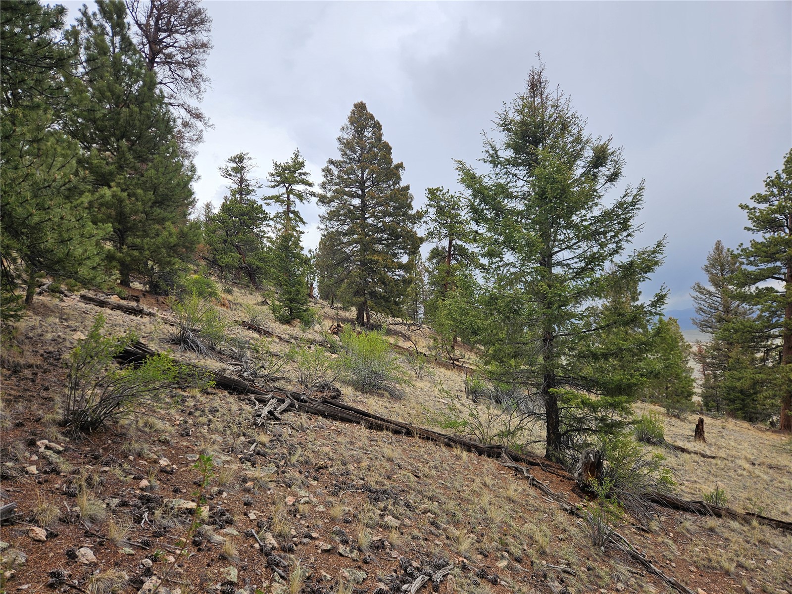 PCS#24807 Satanta Trail Hartsel CO 80449