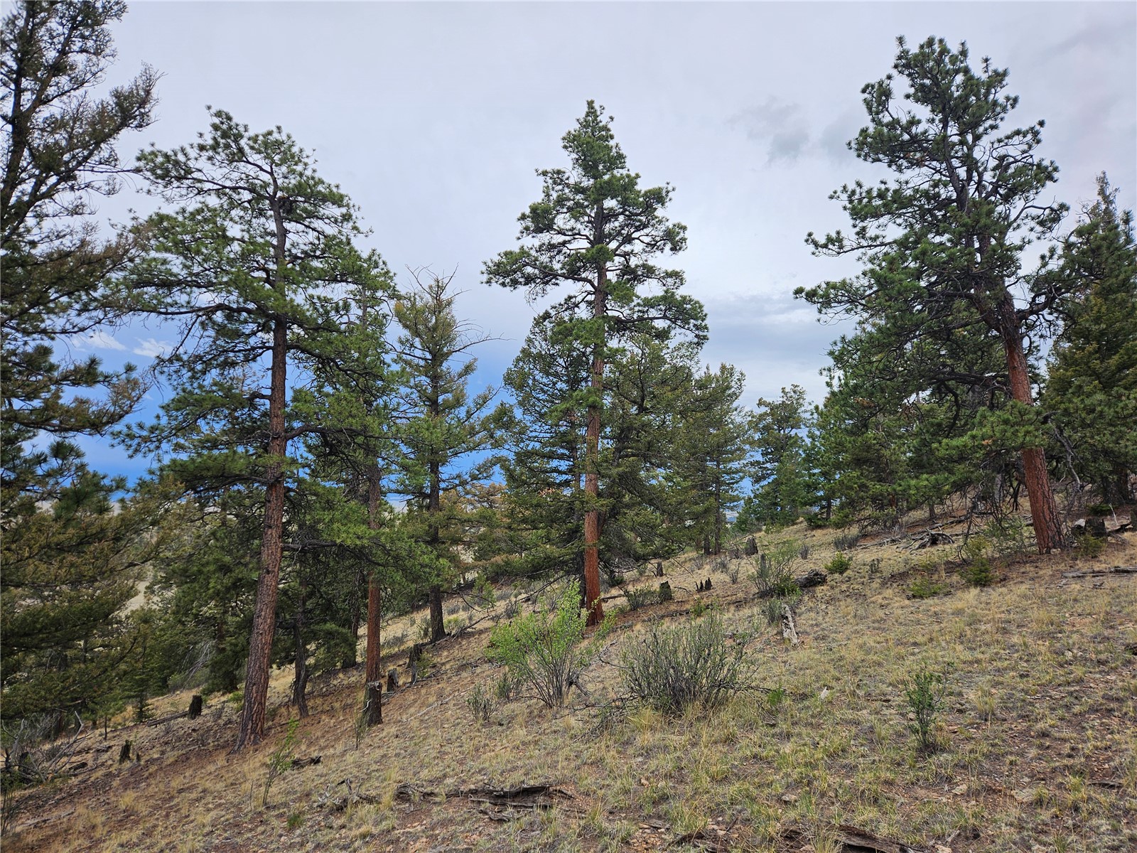 PCS#24807 Satanta Trail Hartsel CO 80449