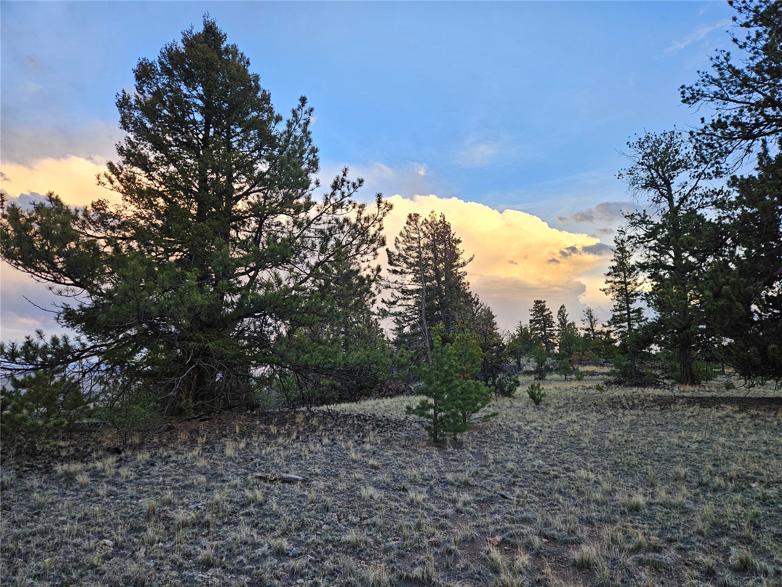 PCS#24807 Satanta Trail Hartsel CO 80449